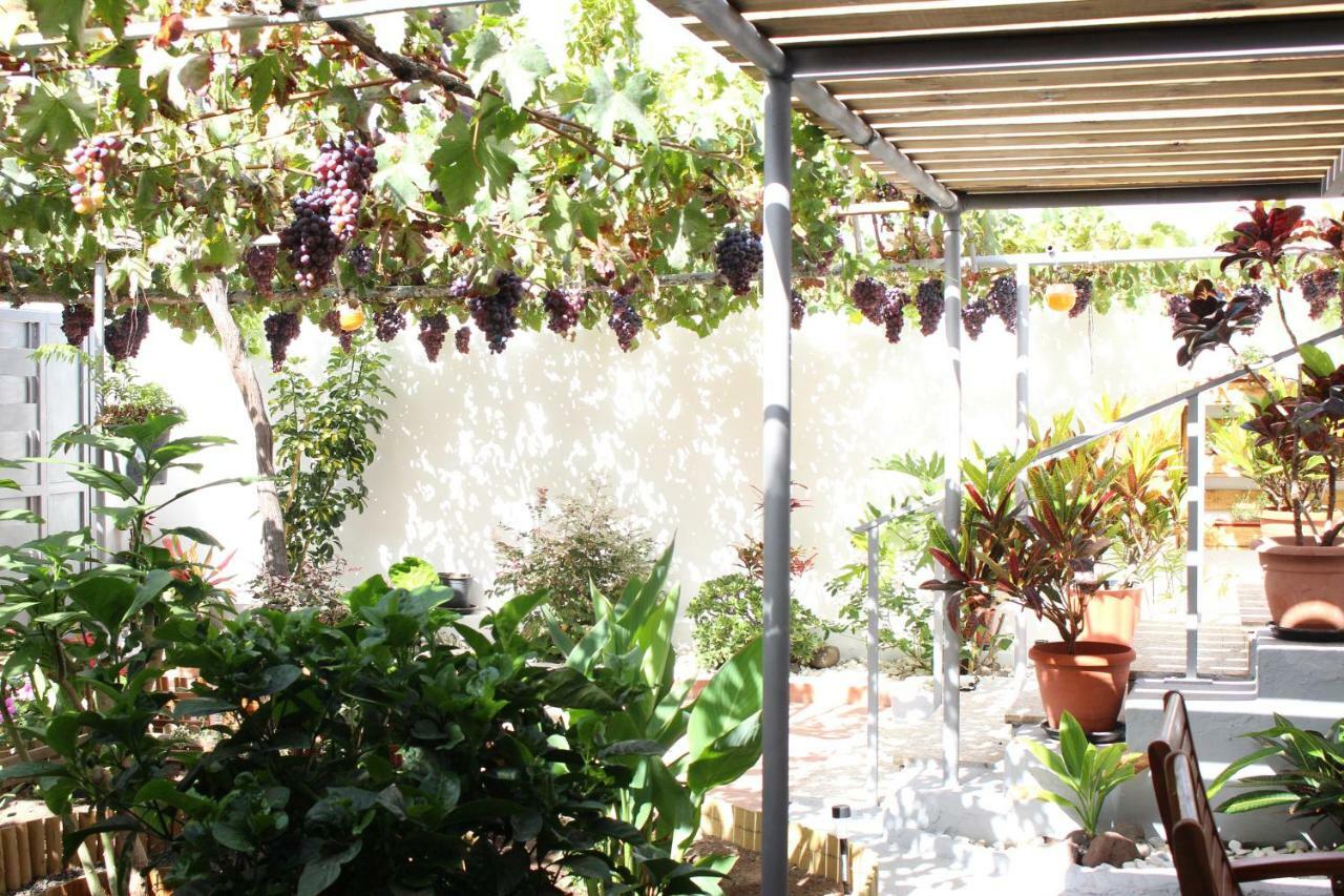 Casa Carmela Villa Agaete  Dış mekan fotoğraf